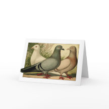 Vintage Pigeons Greeting card