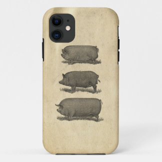 Vintage Pigs Case