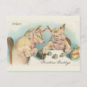Vintage Pigs Playing Dice Postcard