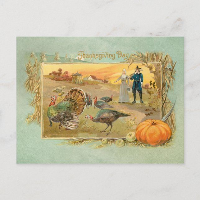 Vintage Pilgrims and Turkeys Postcard (Front)