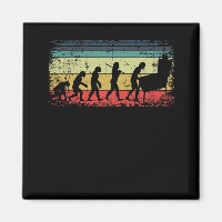 Vintage Pinball Evolution Pinball Player Retro