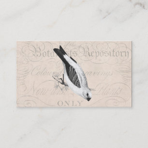 Vintage Pine Grossbeak Song Bird Illustration Business Card