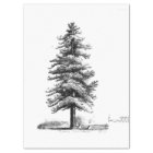 Vintage Pine Tree Ephemera Decoupage