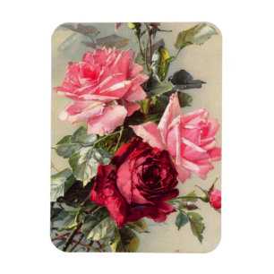 Vintage Pink and Red Roses Magnet