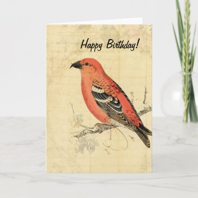 Vintage Pink Bird, Birthday Card (Front)