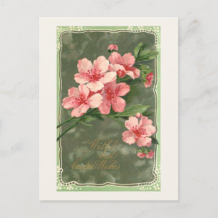 Vintage Pink Cherry Blossoms and Easter Greeting Postcard