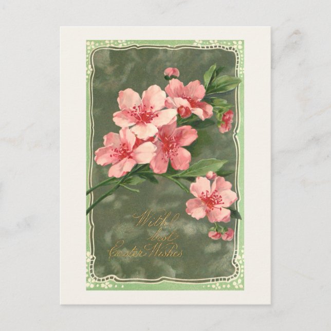 Vintage Pink Cherry Blossoms and Easter Greeting Postcard (Front)