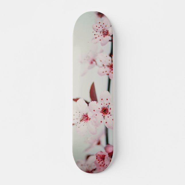 Vintage Pink Cherry Blossoms Skateboard (Front)