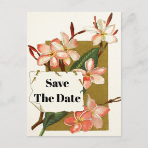 Vintage pink coral oleander floral Save the Date Announcement Postcard
