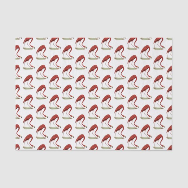 Vintage Pink Flamingo #1 Tissue Paper (Front)