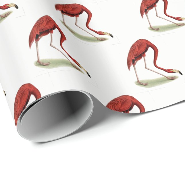 Vintage Pink Flamingo #1 Wrapping Paper (Roll Corner)