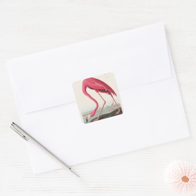 Vintage Pink Flamingo Audubon Square Sticker (Envelope)