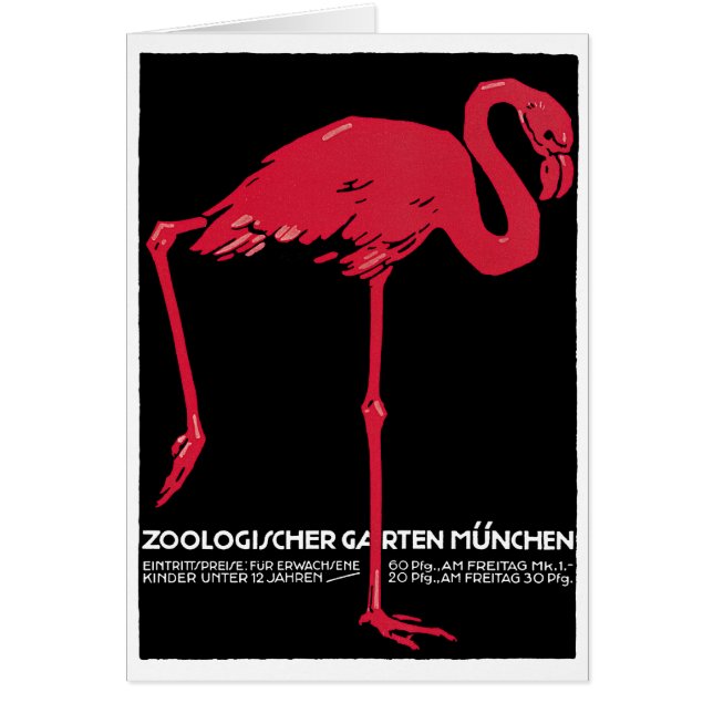 Vintage Pink Flamingo Bird at Germany Munich Zoo (Front)
