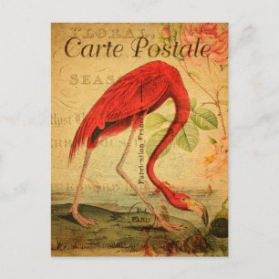 Vintage Pink flamingo Floral French Carte Postale Postcard