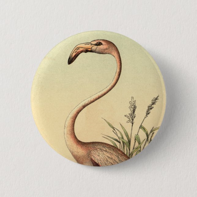 Vintage Pink Flamingo Illustration 6 Cm Round Badge (Front)