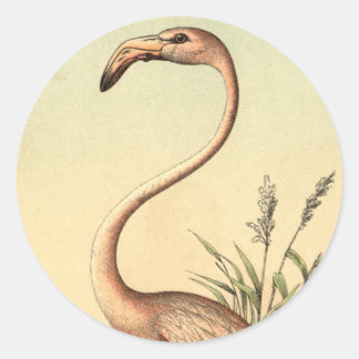 Vintage Pink Flamingo Illustration Classic Round Sticker