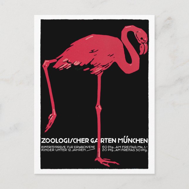 Vintage Pink Flamingo Munich Zoo Postcard (Front)
