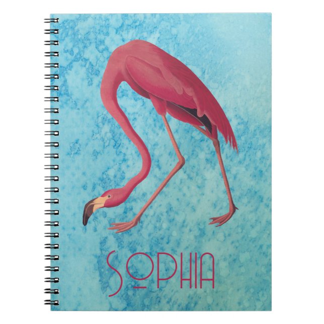 Vintage Pink Flamingo Notebook (Front)