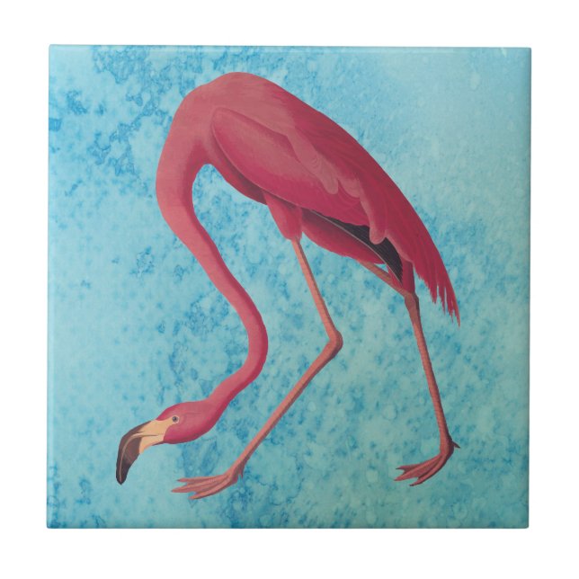 Vintage Pink Flamingo Tile (Front)
