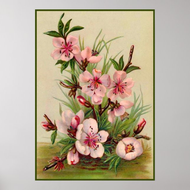 Vintage Pink Floral Poster (Front)