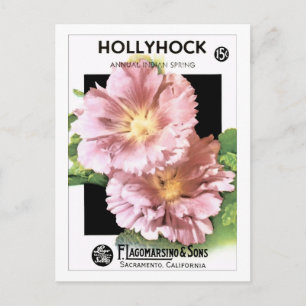 Vintage Pink Hollyhock Seed Packet Postcard