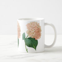 Vintage Pink Hydrangea Hortensia Flower by Redoute