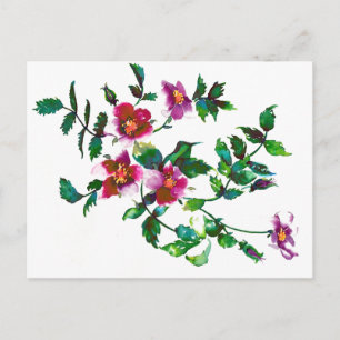 Vintage pink magenta Roses, watercolor pink roses  Postcard