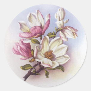 Vintage Pink Magnolia Retro Botanical Stickers