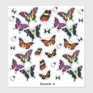 Vintage Pink Orange Purple Green Butterfly