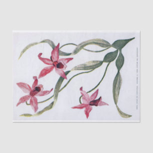 Vintage Pink Orchid Floral Illustration Tissue Paper