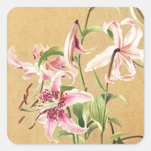 Vintage Pink Oriental Lily Botanical Flower Art Square Sticker
