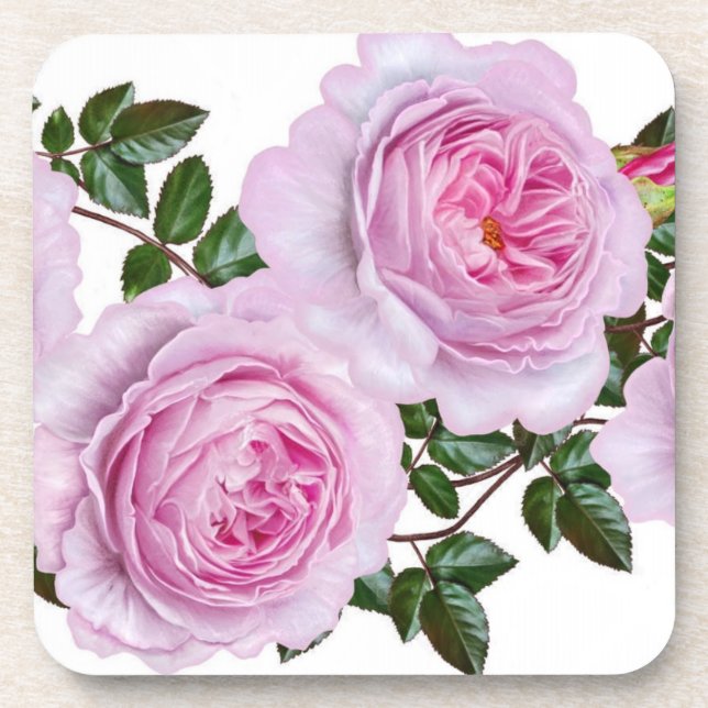 Vintage Pink Peonies coaster (Front)
