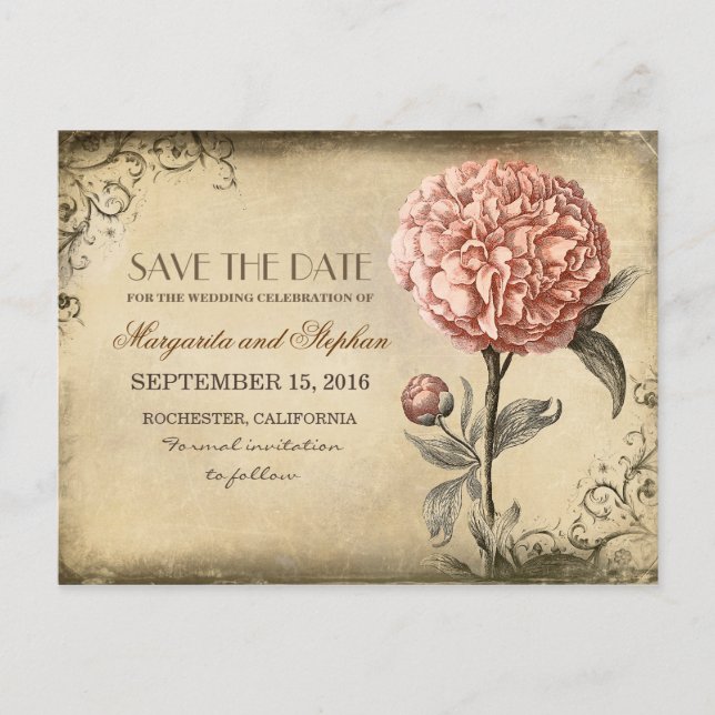 Vintage Pink Peony Save the Date Announcement Postcard (Front)