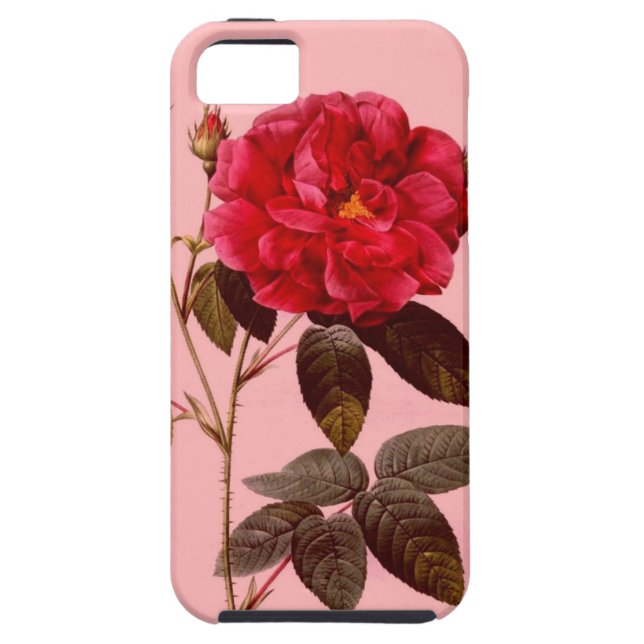 Vintage Pink Red Rose Floral Case (Back)