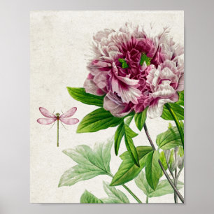 Vintage Pink Rose and Dragonfly Wall Art
