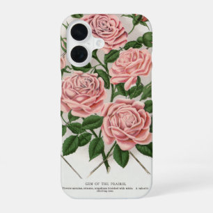 Vintage Pink Rose Botanical Cottagecore Art iPhone 16 Case