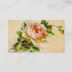 Vintage Pink Rose Business Profile Card