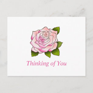 Vintage Pink Rose Drawing Custom Postcard