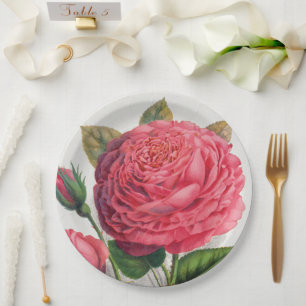 Vintage Pink Rose Illustration Paper Plate