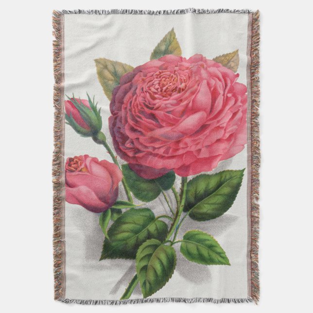 Vintage Pink Rose Illustration Throw Blanket (Front Vertical)