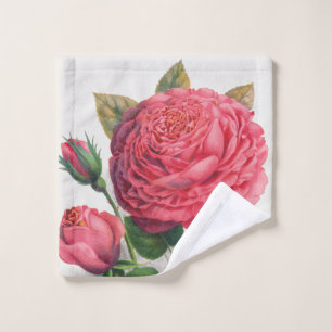 Vintage Pink Rose Illustration Wash Cloth
