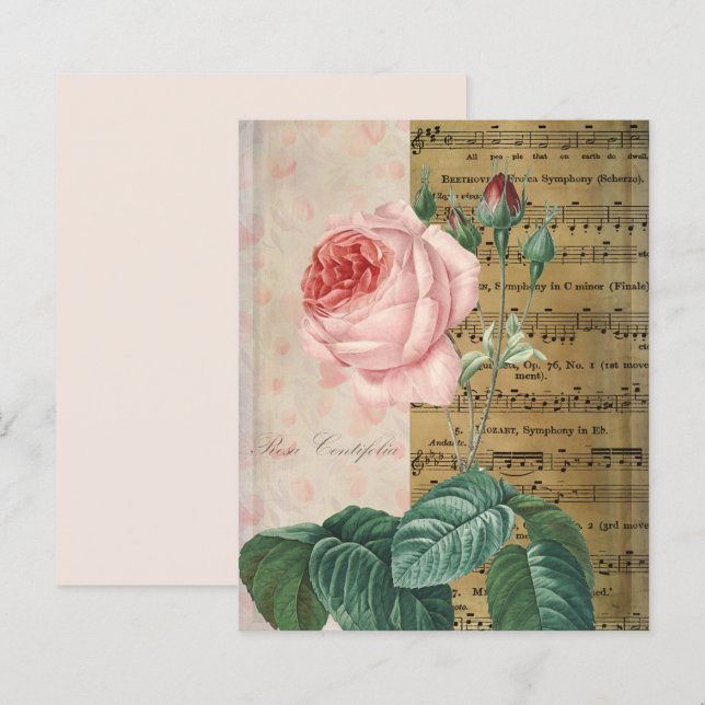 Vintage Pink Rose & Music Collage Scrapbook Paper (Front/Back)