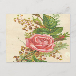 Vintage Pink Rose Postcard