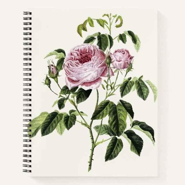 Vintage Pink Rose Timeless Notebook (Front)