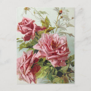 Vintage Pink Roses Bouquet Postcard