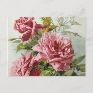 Vintage Pink Roses Bouquet Postcard