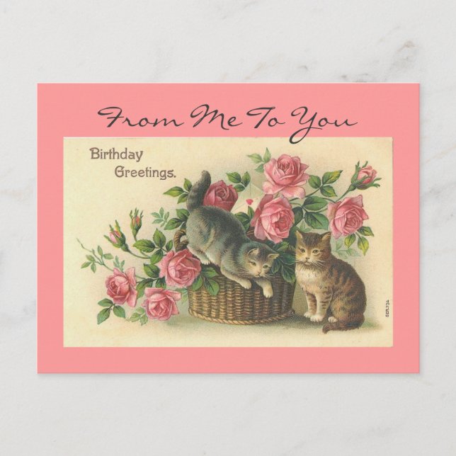 Vintage Pink Roses/Cats Birthday -Postcard Postcard (Front)
