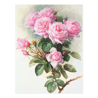 Vintage Rose Postcards | Zazzle.co.uk