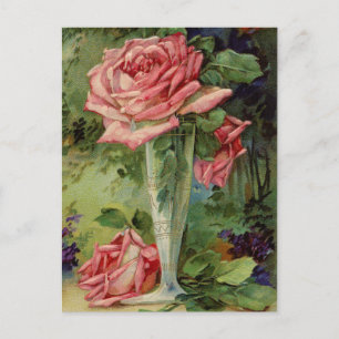 Vintage Pink Roses Postcard
