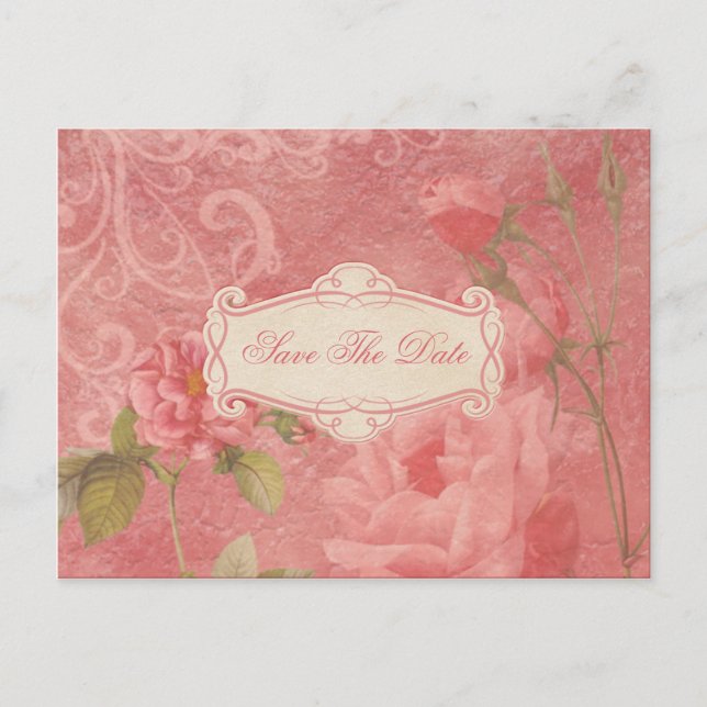 Vintage Pink Roses Save The Date Announcement Postcard (Front)